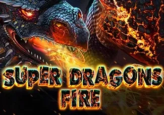 Super Dragons Fire screenshot